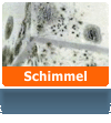 Schimmel